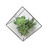  Vickerman Artificial Succulent and Terrarium Arrangement 