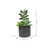  Vickerman Artificial Potted Succulents 