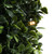  Vickerman Artificial Boxwood Cone In Pot UV 
