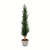  Vickerman Artificial Potted Cedar Tree Full 