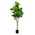  Vickerman Artificial Green Fiddle Tree in Pot 