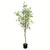  Vickerman Artificial Potted Milan Leaf Tree 