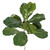  Vickerman Artificial Potted Fiddle Tree 
