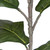  Vickerman Artificial Potted Fiddle Tree 