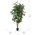  Vickerman Artificial Potted Fiddle Tree 