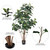  Vickerman Potted Artificial Green Rubber Tree 
