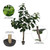  Vickerman Artificial Potted Everyday Fiddle Tree 