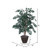 Vickerman Artificial Sakaki Series 