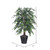  Vickerman Artificial Green Smilax Series 