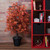  Vickerman Artificial Orange Maple Series 