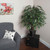  Vickerman Artificial Mini Ficus Extra Full Series 