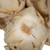  Vickerman Natural Botanicals 2.75" Palm Cap 