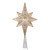  Vickerman 14.5" LED 8 Point Bethlehem Star Tree Topper 