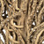  Vickerman Natural Medusa Branch, Dried 