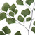  Vickerman Green Adianthum Fern Stem, Preserved 