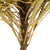  Vickerman 12" Banksia Flower with Dyed Foliage, Dried 
