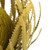 Vickerman 12" Banksia Flower with Dyed Foliage, Dried 