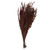  Vickerman 22"-26" Grabia Bundle, Preserved 
