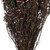  Vickerman 12-22" Natural Phylica Bundle, Preserved 