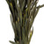  Vickerman 8"-20" Plumosum Bundle, Female, Preserved 