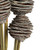  Vickerman Platy Cone attached to a Reed Stem, Dried 