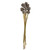  Vickerman Platy Cone attached to a Reed Stem, Dried 
