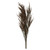  Vickerman Green Reed Grass Bundle 