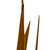  Vickerman 18-30" Snake Grass, Dried - 36 Stems 