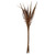  Vickerman 36" Bahia Spears with Seeds, Dried 9 Pack 