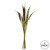  Vickerman 36" Bahia Spears with Seeds, Dried 18 Pack 