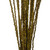  Vickerman 36"-40" Caba Spine Bundle, Dried 24oz 