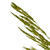  Vickerman 36" Congo Grass Bundle, 8 oz Dried 