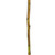  Vickerman Cierus Stem, Dried 