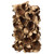  Vickerman Giant Seed Pod Segment, Dried 