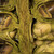  Vickerman Natural Giant Seed Pod Segment, Dried 