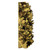  Vickerman Natural Giant Seed Pod Segment, Dried 