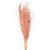  Vickerman 46" Dried Pampas Grass 