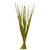  Vickerman Rush Grass, Dried 7oz 