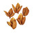  Vickerman 3"-4" Sora Pods, Dried Bulk Case 