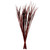  Vickerman 28" Splinter Grass, 11oz Dried 