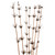  Vickerman 36-40" Star Bamboo Reed Stem, Dried - 14 Stems 