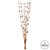  Vickerman 36-40" Star Bamboo Reed Stem, Dried - 14 Stems 