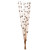  Vickerman 36-40" Star Bamboo Reed Stem, Dried - 14 Stems 