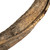  Vickerman 38-45" Twisted Vine, Dried 
