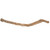 Vickerman Natural Cholla Cactus Segment, Dried 
