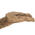 Vickerman Natural Cholla Cactus Segment, Dried 