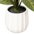 Vickerman 13" Philodendron Birkin in White Pot 