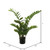  Vickerman Potted Green Zamifolia Bush 