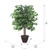  Vickerman Artificial Ficus Deluxe Potted Tree 