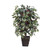  Vickerman Artificial Capensia Deluxe Potted Tree 